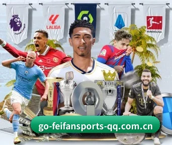 非凡体育 APP（FEIFAN SPORTS）